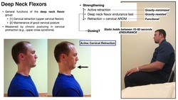 Deep Neck Flexor Group | Weakness & Some Potential Treatments Instructional Video