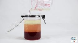 DIY Lava Lamp - Science for Kids Instructional Video