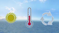 How toxic algae is impacting Florida's coastline. Instructional Video