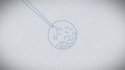 TED-Ed: How the COVID-19 vaccines were created so quickly | Kaitlyn Sadtler and Elizabeth Wayne Instructional Video