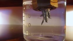 How to Grow A Lead Crystal Tree! Old Alchemy Demonstration. Instructional Video