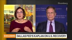 Fed's Kaplan Doesn't See Need for More QE Right Now News Clip