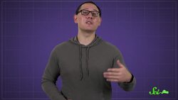 Can You Drink Snake Venom? Instructional Video