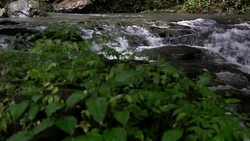 a dolly shot of horseshoe little waterfall Stock Footage
