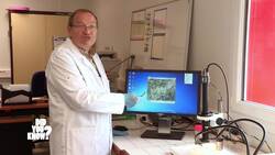 The Evolution of Vacuum Cleaners: From Hygiene to High Tech Instructional Video