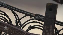 Examining the extent of Australia's property damage News Clip