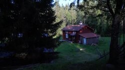 VOICED : Swedish cow calling gets a second wind News Clip