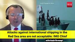 IMO Chief Arsenio Dominguez at UNSC: 'Attacks against international shipping in the Red Sea area are not acceptable' News Clip