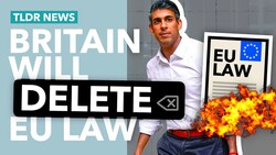 Britain's (Pretty Bad) Plan to Delete all EU Law Instructional Video