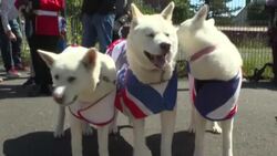 CLEAN : WRAP: Queen Elizabeth II's historic jubilee News Clip