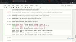 Social Media Automation using Python - Displaying the Video Data Instructional Video