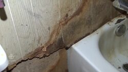 Melinda McIvor's home of more than 20 years is a rat-infested, mouldy trailer that's had multiple sewage leaks News Clip