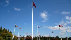 The United Nations Memorial Cemetery, South Korea. Stock Footage