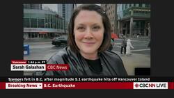 Earthquake felt in places across B.C.'s Lower Mainland News Clip