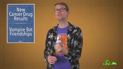New Cancer Drug Results and Vampire Bat Friendships Instructional Video