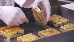 Scientists launch mission to test growing food and fuel in space News Clip