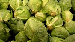 Intro Spanish Lesson: Shopping at the Market / foods Instructional Video