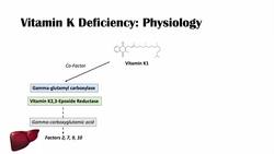 Vitamin K Deficiency | Dietary Sources, Causes, Symptoms, Diagnosis, Treatment Instructional Video