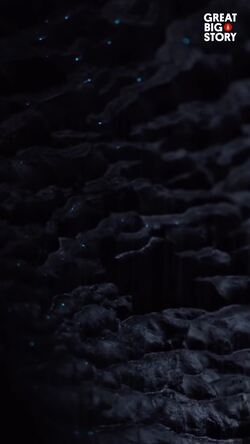 Discover the enchanting Waitomo Glowworm Caves of New Zealand Instructional Video