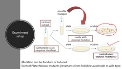 Ames Test for the Detection of Potential Mutagen Instructional Video