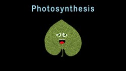 Photosynthesis/Photosynthesis Instructional Video