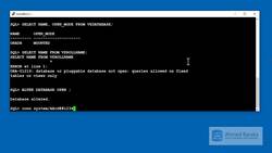 Oracle Database Administration from Zero to Hero - Practice - Querying Data Dictionary Instructional Video
