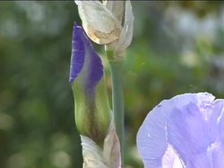 Observations and Data: Introduction Instructional Video