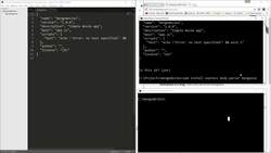 The Full Stack Web Development - Node Express Server Setup - Project Mongo Movies Instructional Video
