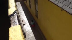 CLEAN : Migrant mothers fleeing violence stuck in Mexico border town awaiting end of Title 42 News Clip