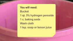 How to Deal with Being Sprayed by a Skunk Instructional Video