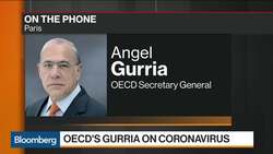 OECD Says `We've Never Been in a Problem This Big' News Clip