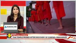 73 Corpses, 600 Crocodiles Discovered in Thai Temple Linked to Meditation Ritual News Clip