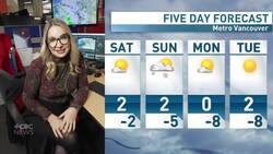 Bogus weather forecasts are popping up online. Here’s how to spot them News Clip