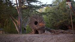 Nature's Architect, The Art of Building Giant Nests Instructional Video