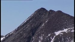 Ecosystems: Pros and Cons of Research Instructional Video