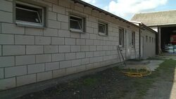 CLEAN : Poland fights against African swine fever News Clip