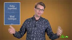 Fish Pee: The Coral Reef Superfood Instructional Video