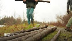 How a Vancouver Island group is saving marine estuaries from geese News Clip