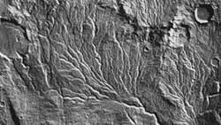 TED: What a planet needs to sustain life | Dave Brain Instructional Video