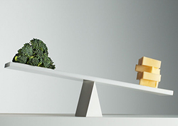 ¿Por qué es tan difícil librarse de la grasa? Instructional Video