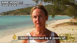 Australia's Great Barrier Reef Is Dying News Clip