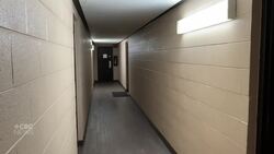 Police lack training for dog encounters, say experts News Clip