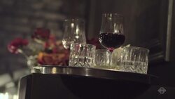 Jane and Hooch Instructional Video