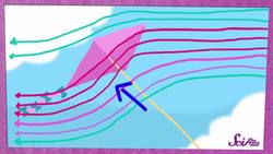 Fun Summer Science! Instructional Video