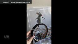 #TheMoment an engineer built a robot Remy from Ratatouille News Clip