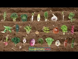 The Vegetable Song - KidsLearningTube Instructional Video