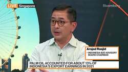 IndoCham Chairman on Indonesian Economic Prospect News Clip