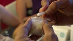 Shambhala Festival | Drug Testing for Safety News Clip