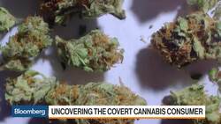 The Implications of Mexico's Possible Pot Legalization News Clip