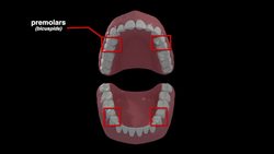Mouth Instructional Video